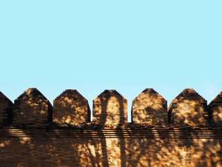 Fototapeta na wymiar Brick wall strusture with tree shadow