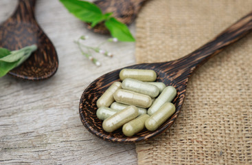 Alternative herbal medicine on wooden table for healthy eating 