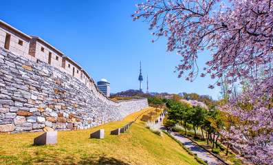 Namsan mountain in spring at seoul south Korea 