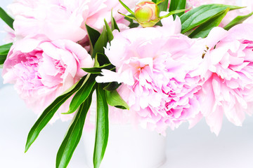 beautiful bouquet of pink peonies on a white background. close-up, side view