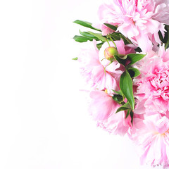 bouquet of light pink peonies on a white background. close-up view from the top, copy space, square