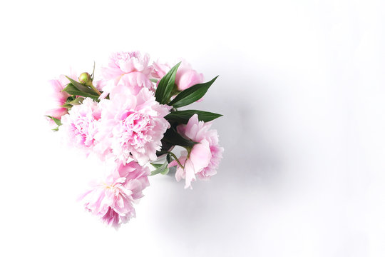 bouquet of pink peonies on a white background. view from above