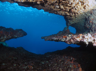 Plakat Scuba Diving Malta - Comino Caves Boat Diving
