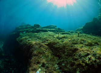 Fototapeta na wymiar Scuba Diving Malta - Comino Caves Boat Diving