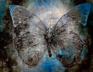 abstract Butterfly Background