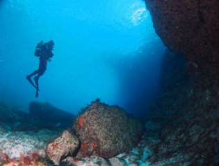 Fototapeta premium Scuba Diving Malta - Comino Caves Boat Diving