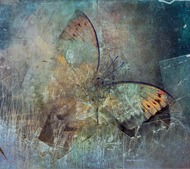 a grunge butterfly design wallpaper