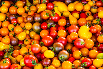 tomatoes at the market