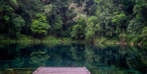 beautiful view of crystal clear water surrounded with dense green forest in Telaga Biru, Berau, Indonesia