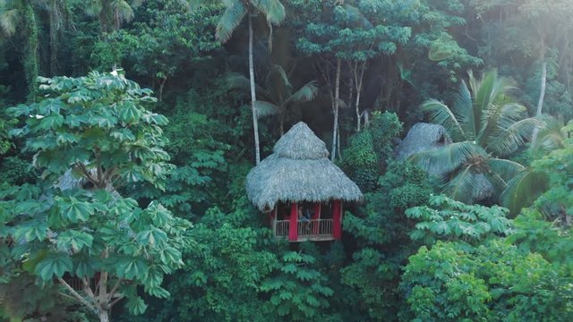 Aerial: Young Man Sitting on Balcony Balustrade of Lovely Tree House