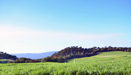Naklejka premium Mountains view