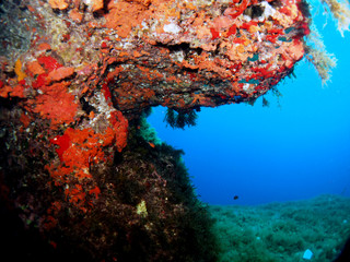 Fototapeta na wymiar Scuba Diving Malta - Wied iz-Zurrieq Reef