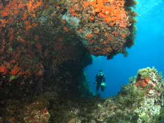 Scuba Diving Malta - Wied iz-Zurrieq Reef