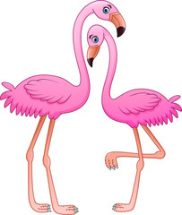Cartoon two pink flamingo on white background