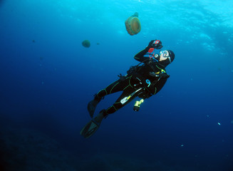 Fototapeta na wymiar Scuba Diving Malta - Fried Egg Jellyfish at Cirkewwa
