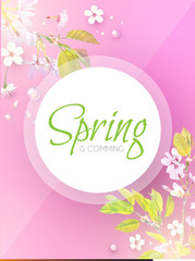 Soft Flower Spring Background. Cherry Blossom. Sakura Design.