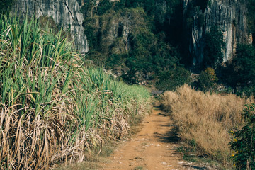 Limestone mountains and grasslands