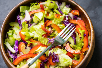 Salad lettuce, parsley, red onion in clay bowl. Vegetarian healthy food.