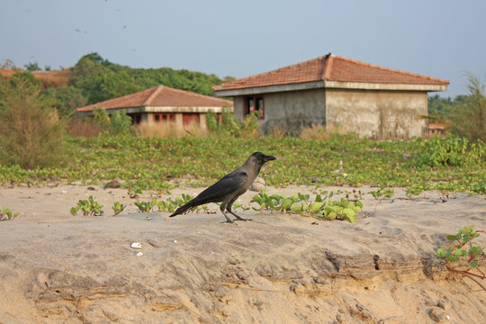 Exotic beach in Bekal. Kerala. India