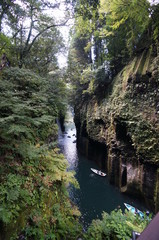 river in forest