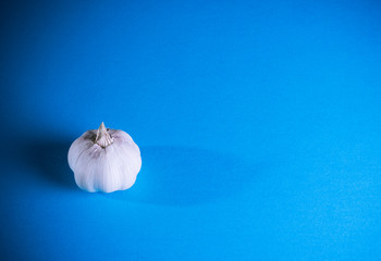 garlic lies on a blue background