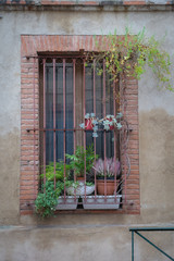 Fototapeta na wymiar Toulouse, France - 12 16 2018: window with grid and plants