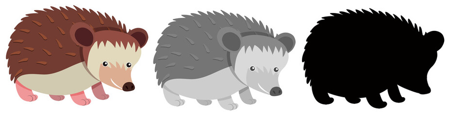 Set of hedgehog character © brgfx