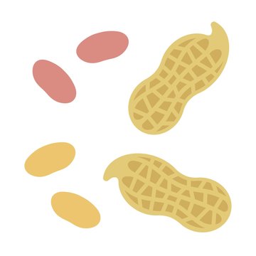 落花生とピーナッツ Stock イラスト Adobe Stock