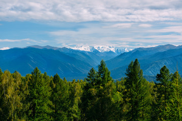 Mountain valley, golden autumn panorama landscape, view of the Beluha in sunny weather, Altai Republic, Russia