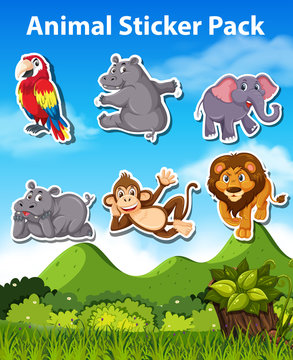 Set of animal sticker pack