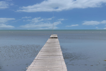 A wooden bridge that stretches to the sea on a clear day – Image   