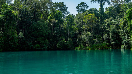 Obraz premium Labuhan Cermin, beautiful lake with two layer of water, freshwater on the top and saltwater in the bottom
