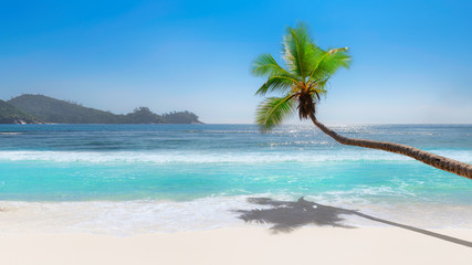 Exotic island. Sunny beach with white sand, coco palm and turquoise sea.