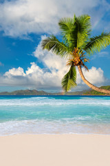Sunny beach with coco palms and a sailing boats in the turquoise sea on Praslin, Seychelles.