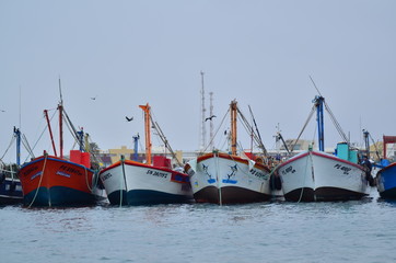 Boats in the sea