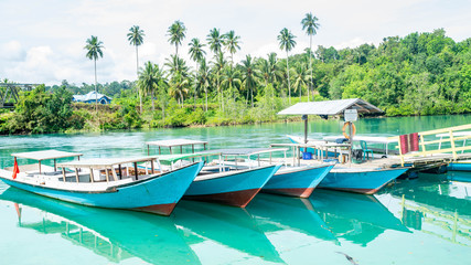wooden boat docked at small harbor in Labuhan Cermin, Berau with beautiful coconut trees as the background