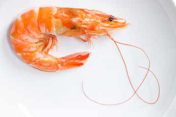Beautiful fresh shrimps boiled on white plate background. Seafood tasty concept.