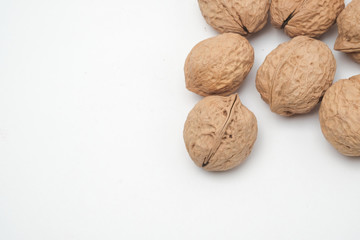 Walnut on a white scene