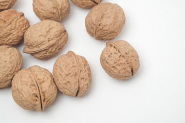 Walnut on a white scene