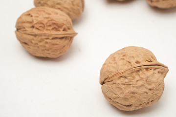 Walnut on a white scene