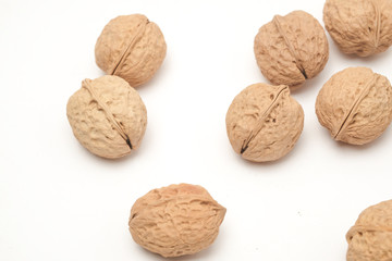 Walnut on a white scene