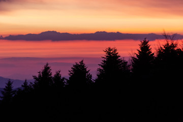 Trees silhouettes against a beautifully colored sky at dusk, with mountains layers in the background
