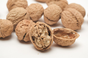 Walnut on a white scene