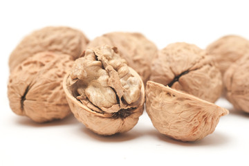 Walnut on a white scene