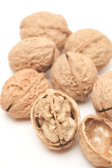 Walnut on a white scene