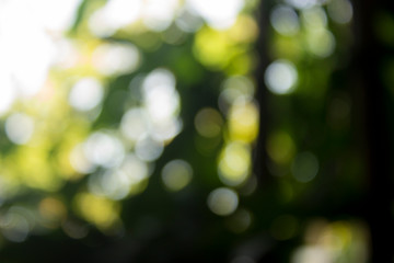 Abstract bokeh light background 