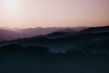 Blick über den Schwarzwald