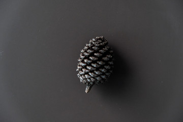 flower on black background