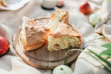 Summer picnic with apple pie and milk. Sunny day and rest