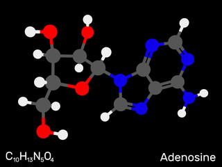 Adenosine, nucleoside, neurotransmitter model molecule